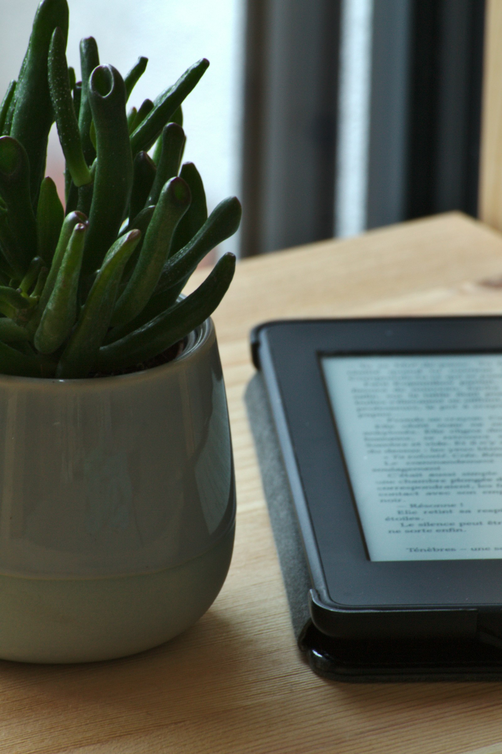 Электронная книга с E-Ink экраном на столе рядом с растением
